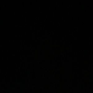 Meet your Posher, Lexie